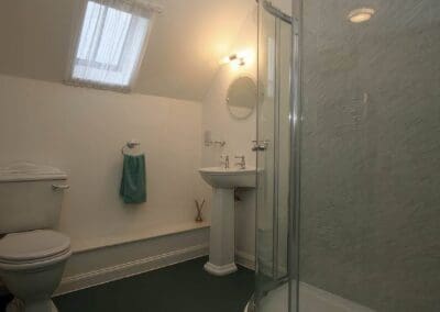 Shower room with toilet sink and shower